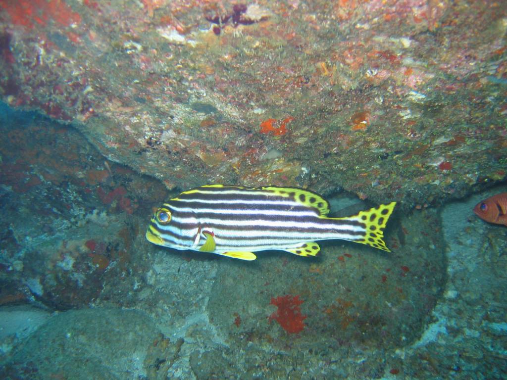 IMG_0001.jpg