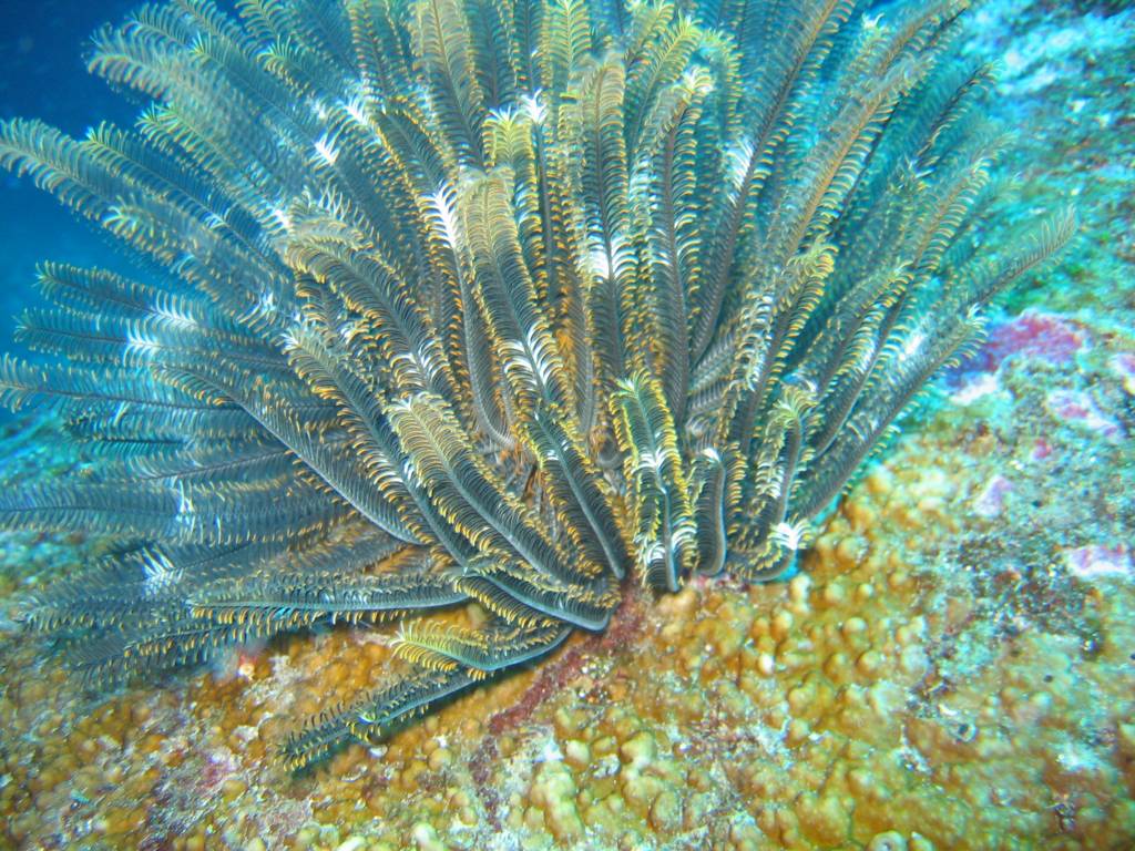 IMG_0023.jpg