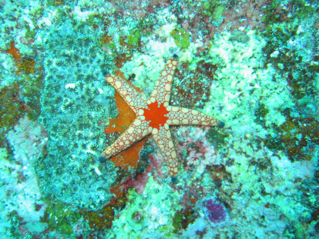 IMG_0024.jpg