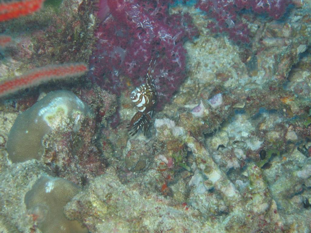 IMG_0052.jpg