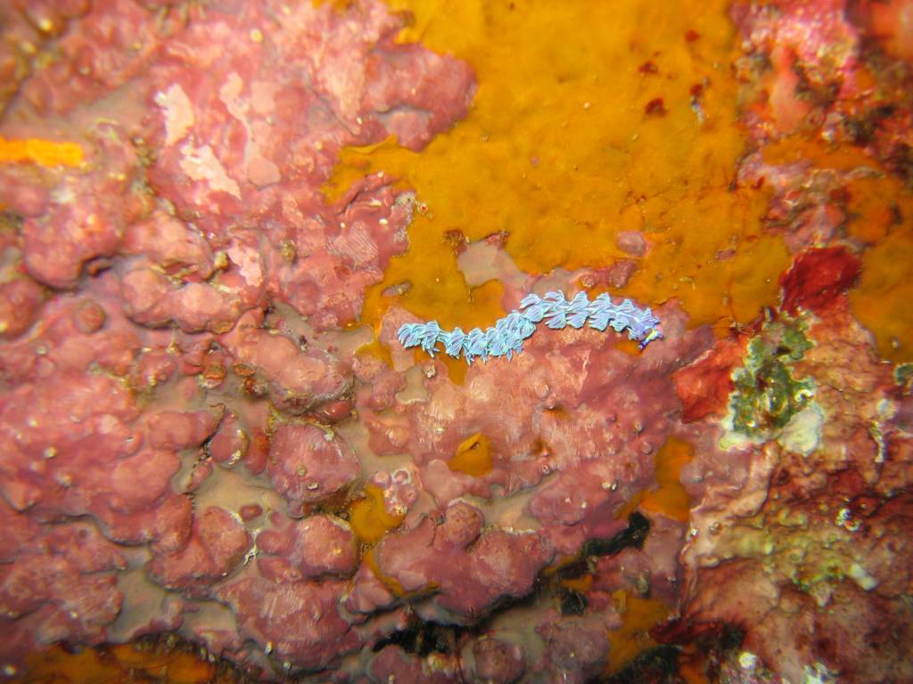 IMG_0119.jpg