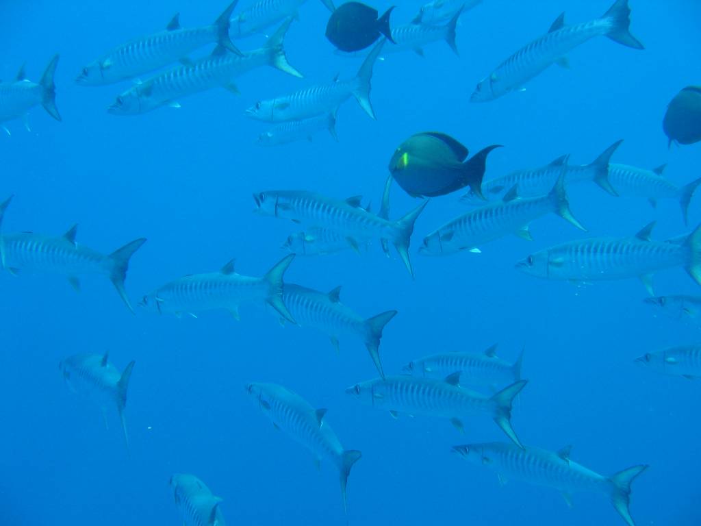 IMG_0174.jpg