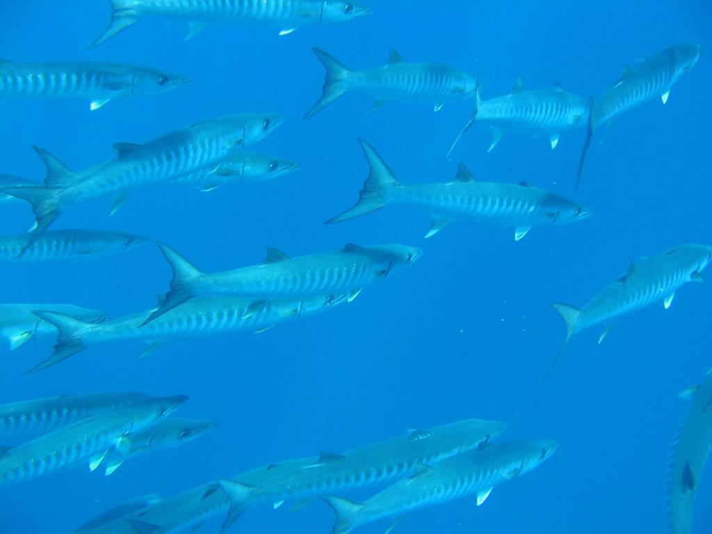 IMG_0175.jpg