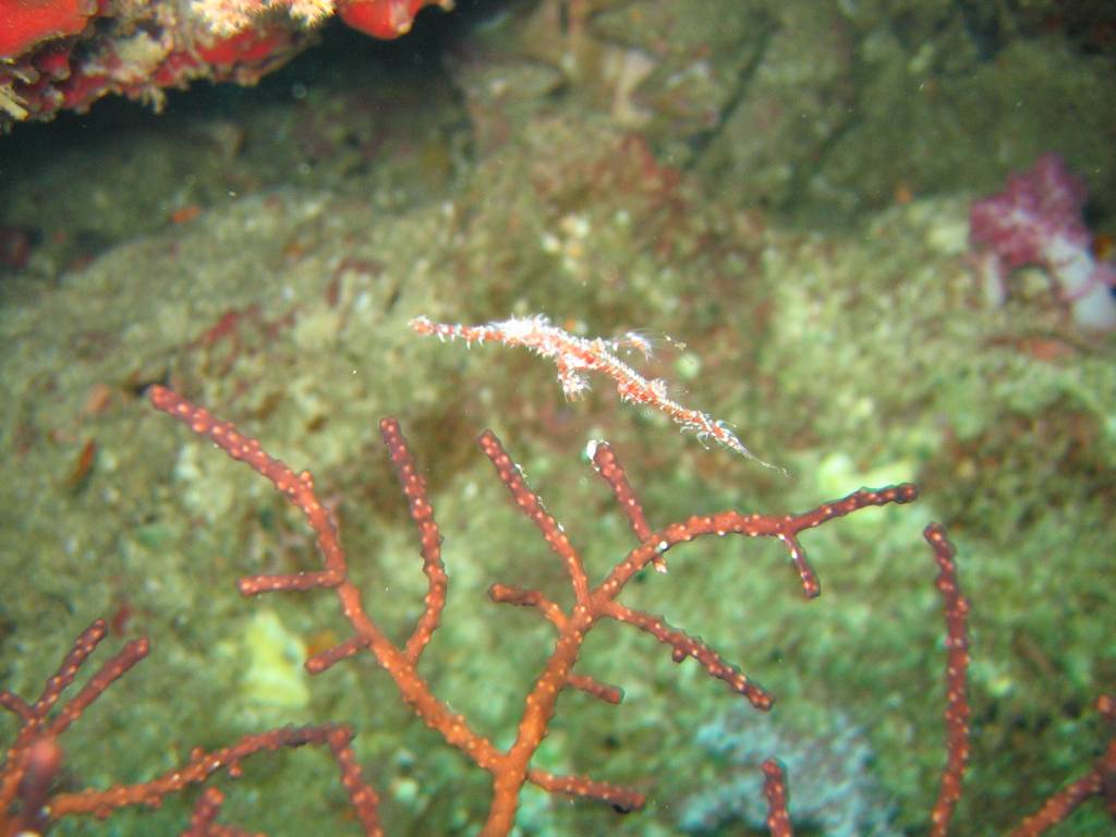 IMG_0300.JPG