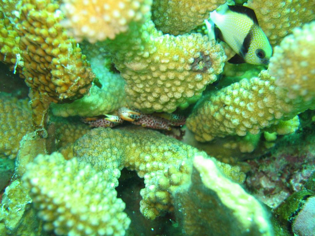 IMG_0361.JPG