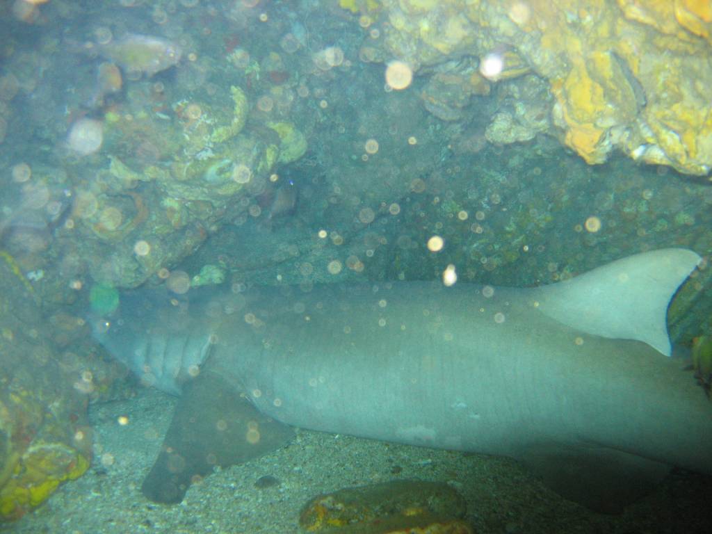 IMG_0032.JPG