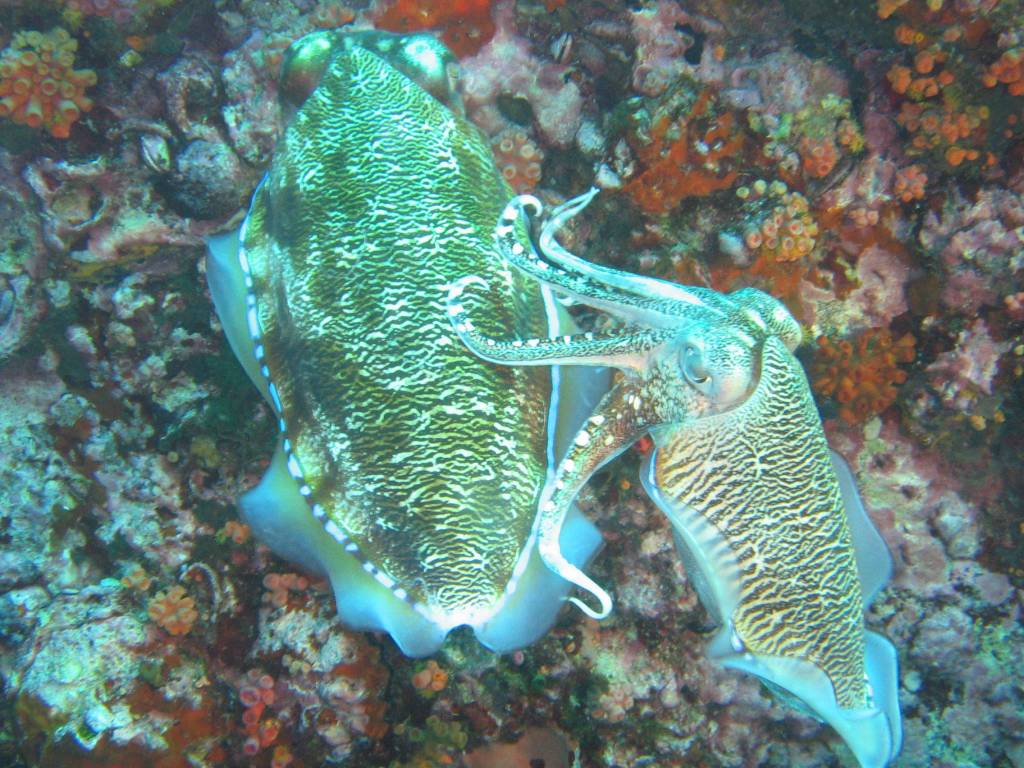 IMG_0076.JPG