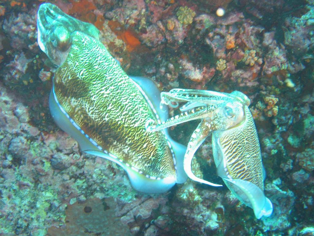IMG_0077.JPG