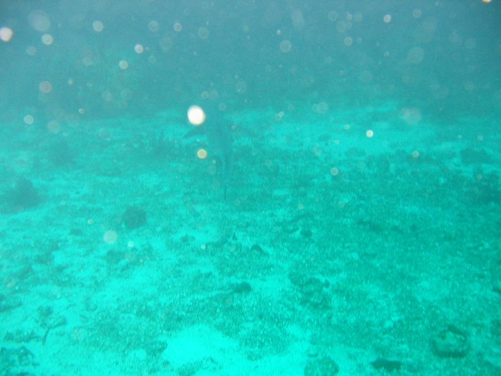 IMG_0079.JPG
