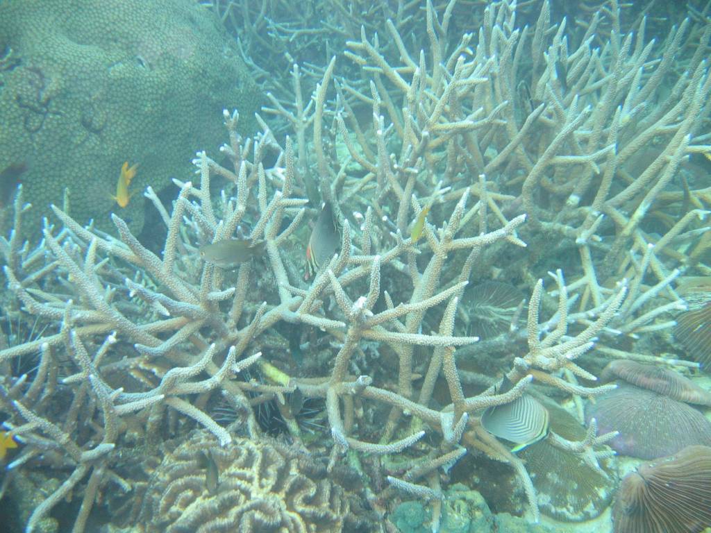 IMG_0191.JPG