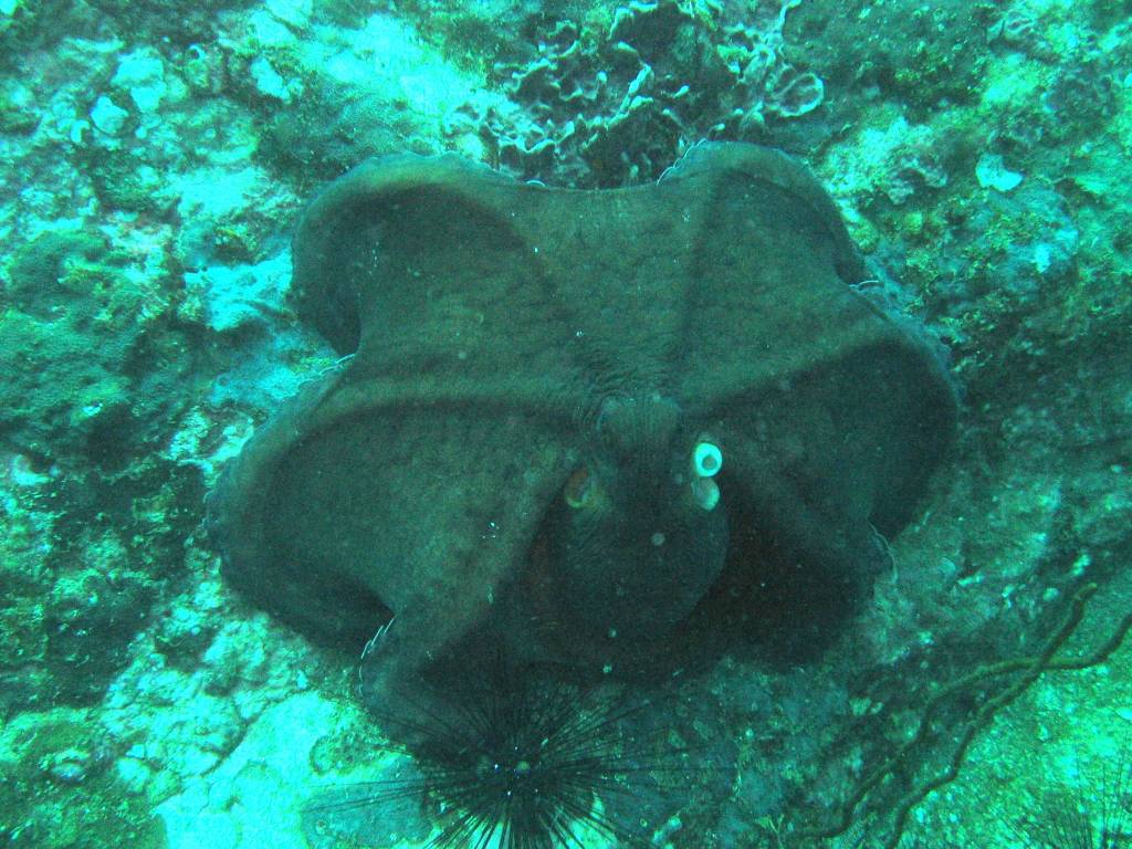 IMG_0276.jpg