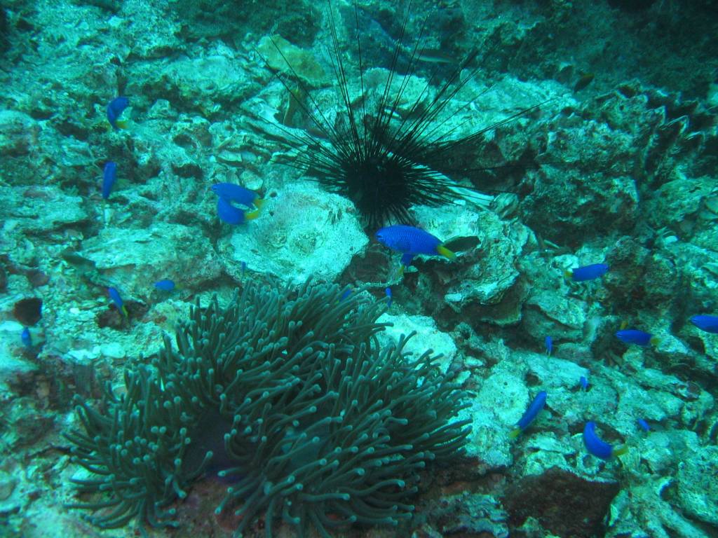 IMG_0296.jpg