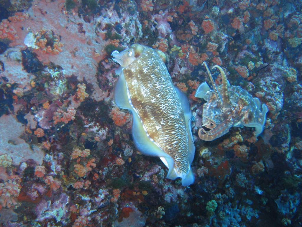 IMG_0371.jpg