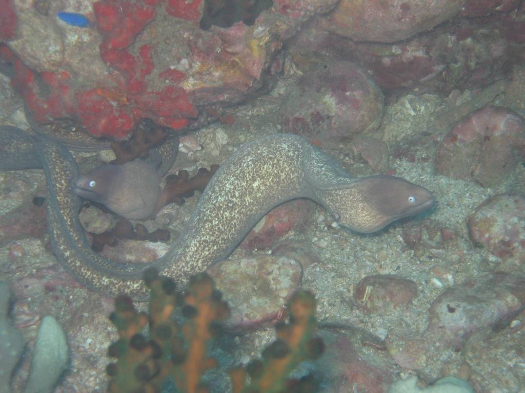 IMG_6639.JPG