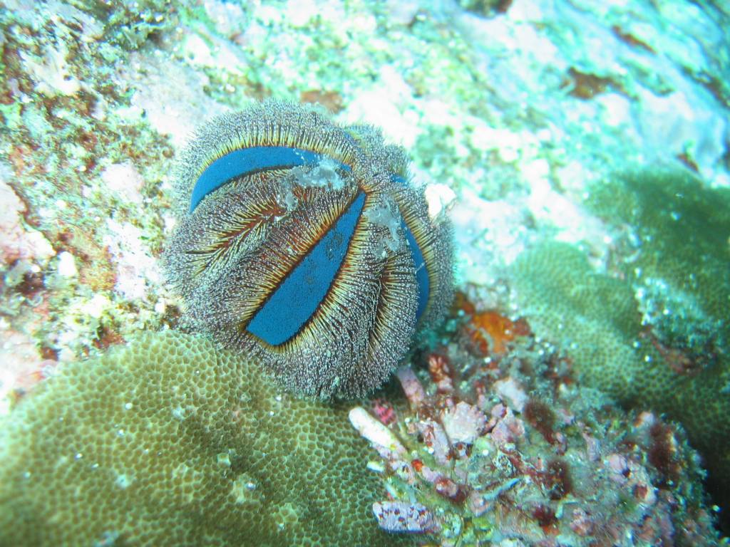 IMG_6696.JPG