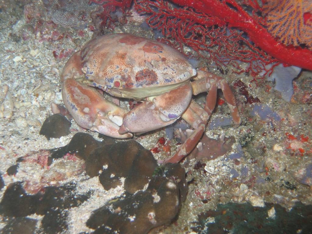 IMG_6831.JPG