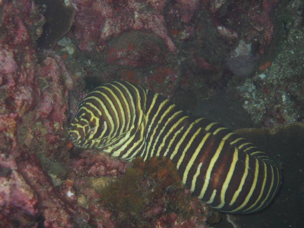 IMG_6837.JPG