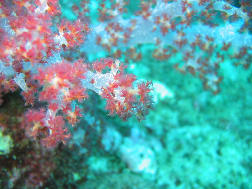 IMG_6857.JPG