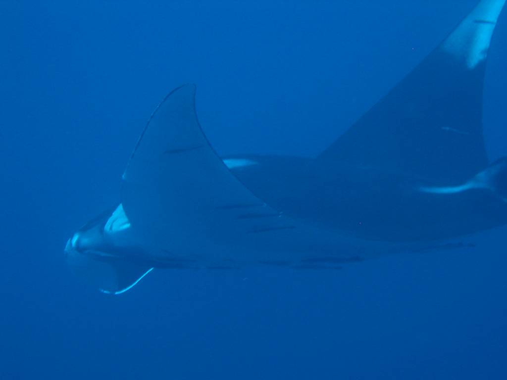 IMG_6929.JPG