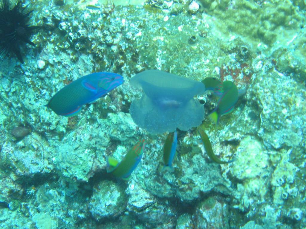 IMG_6941.JPG