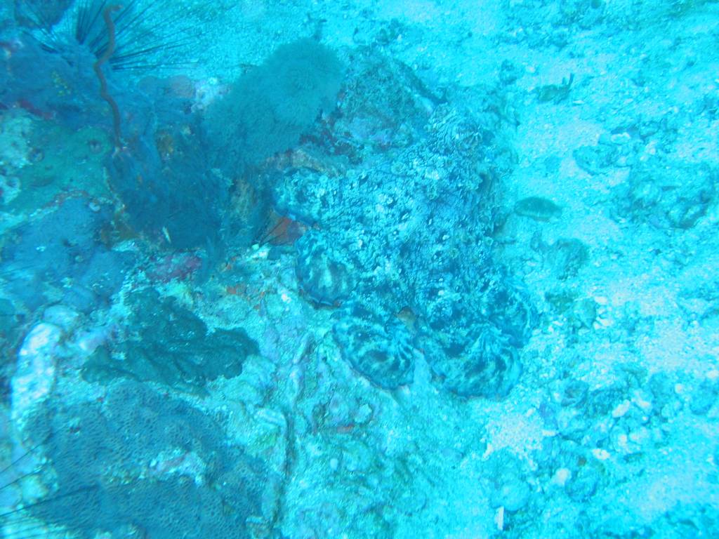 IMG_7192.JPG