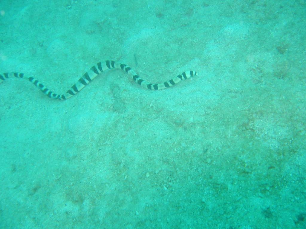 IMG_7216.JPG