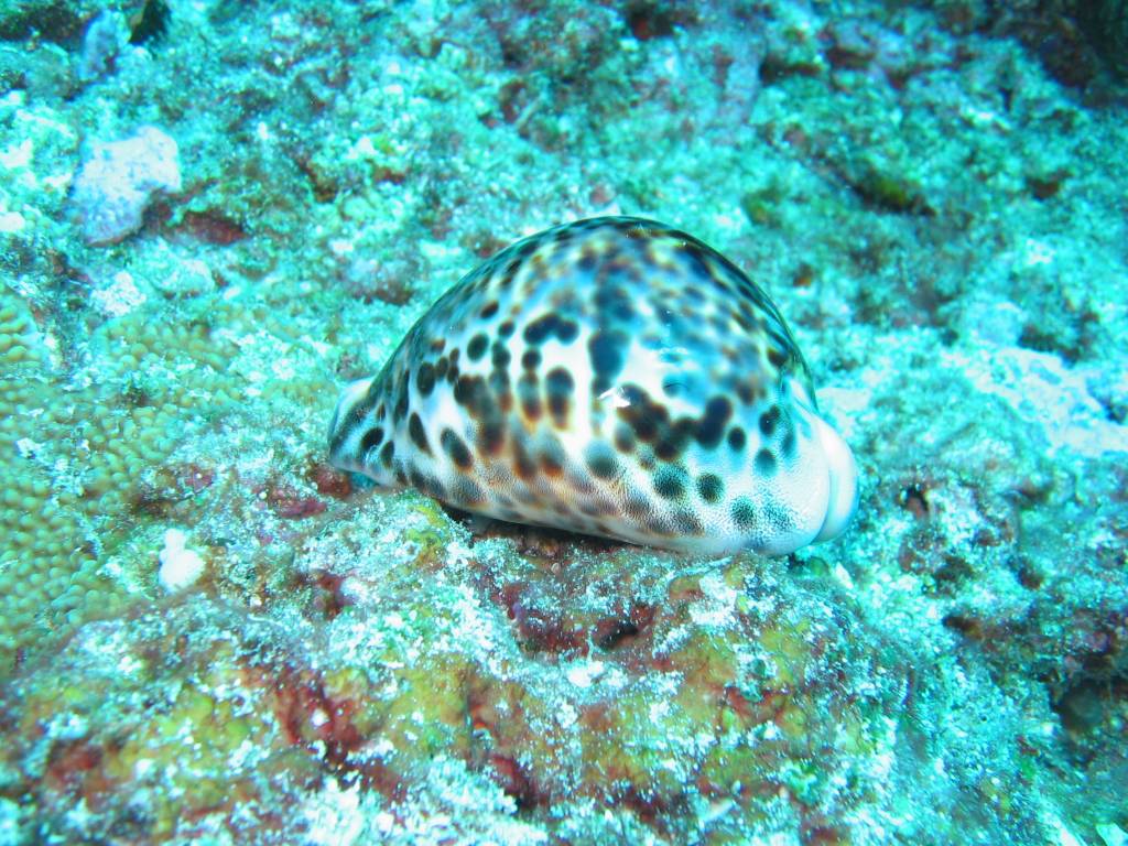IMG_4577.JPG