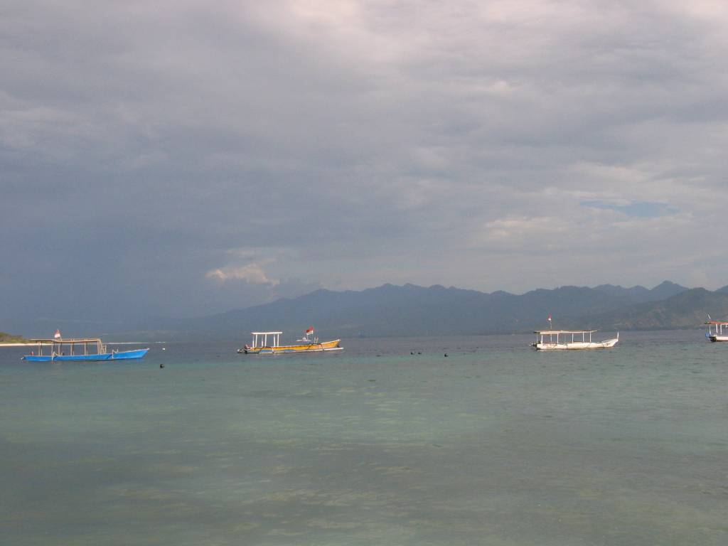 IMG_4634.JPG