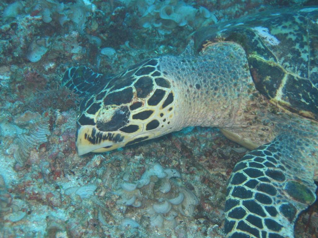 IMG_4672.JPG