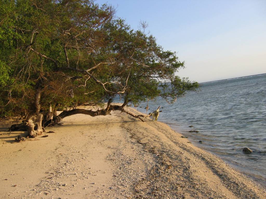 IMG_4813.JPG