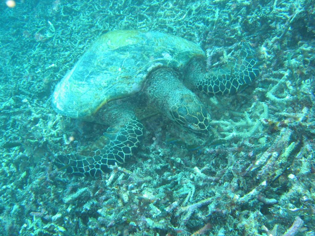 IMG_4897.JPG