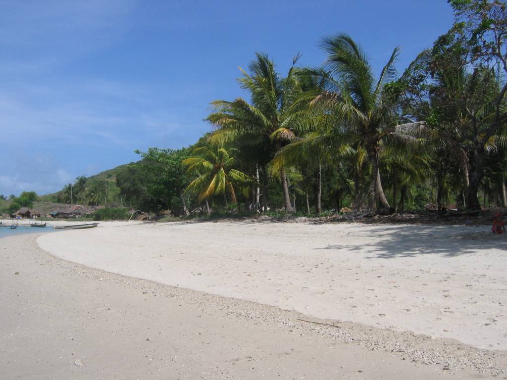 IMG_4959.JPG