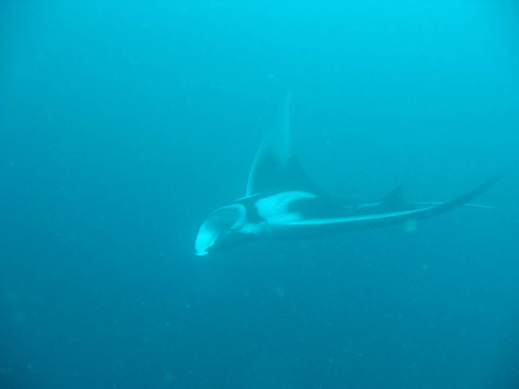 IMG_7422.JPG