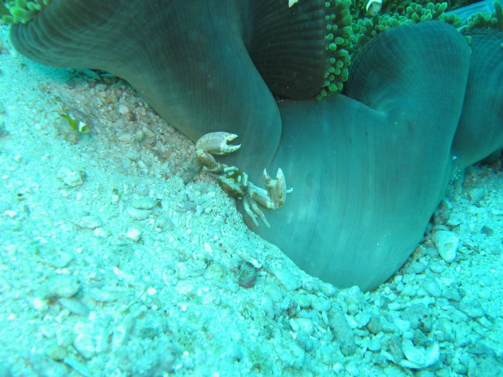 IMG_7441.JPG
