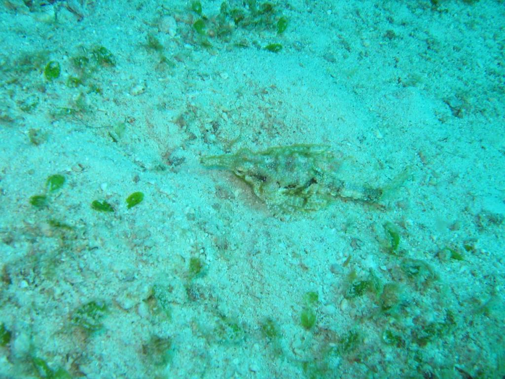 IMG_7443.JPG