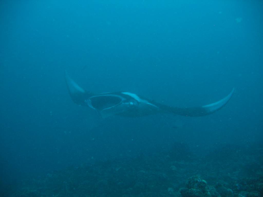 IMG_7508.JPG