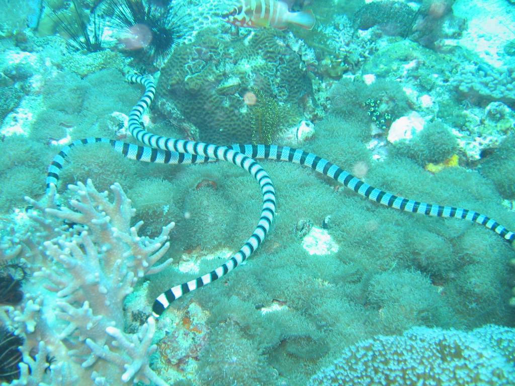 IMG_7551.JPG