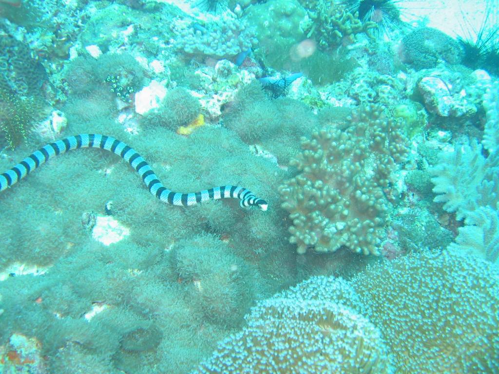 IMG_7552.JPG