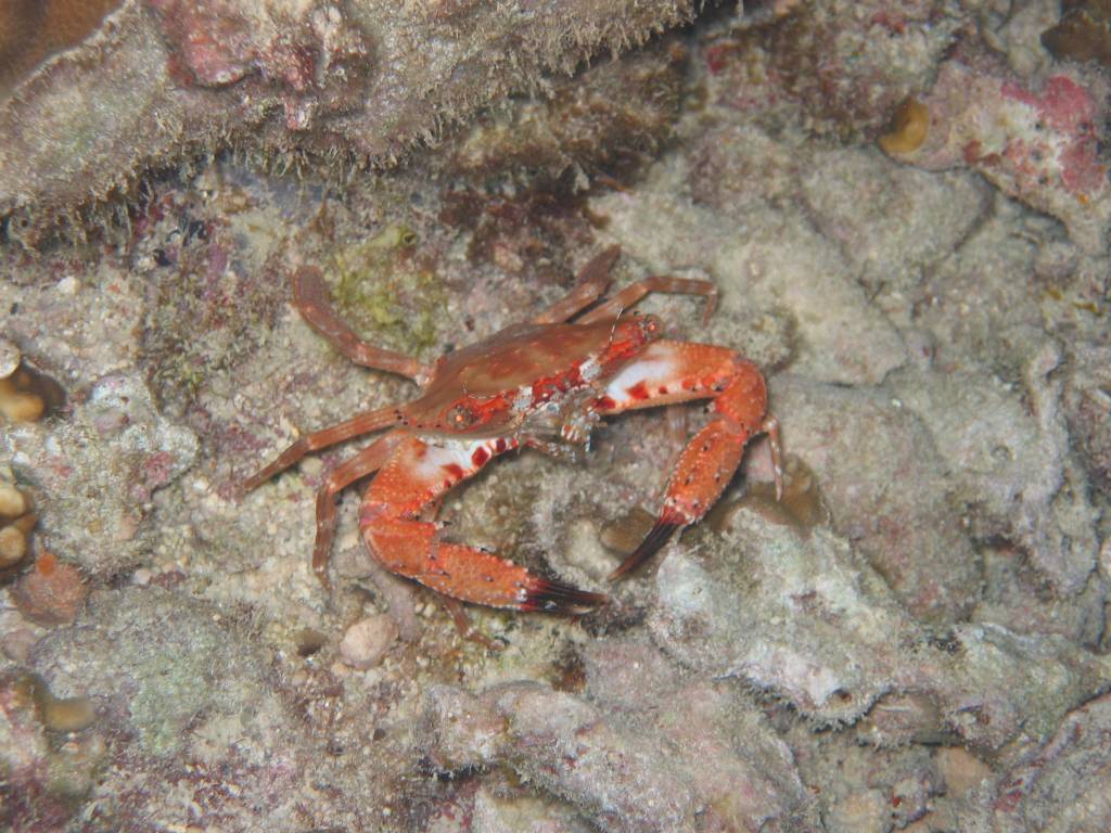 IMG_7608.JPG