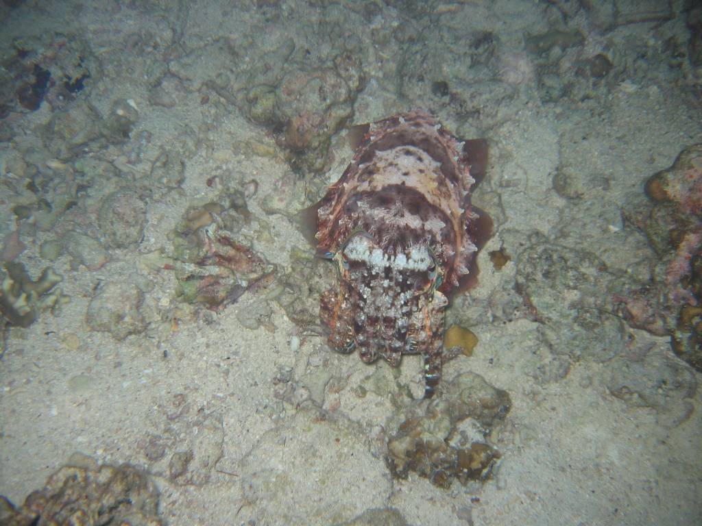 IMG_7632.JPG