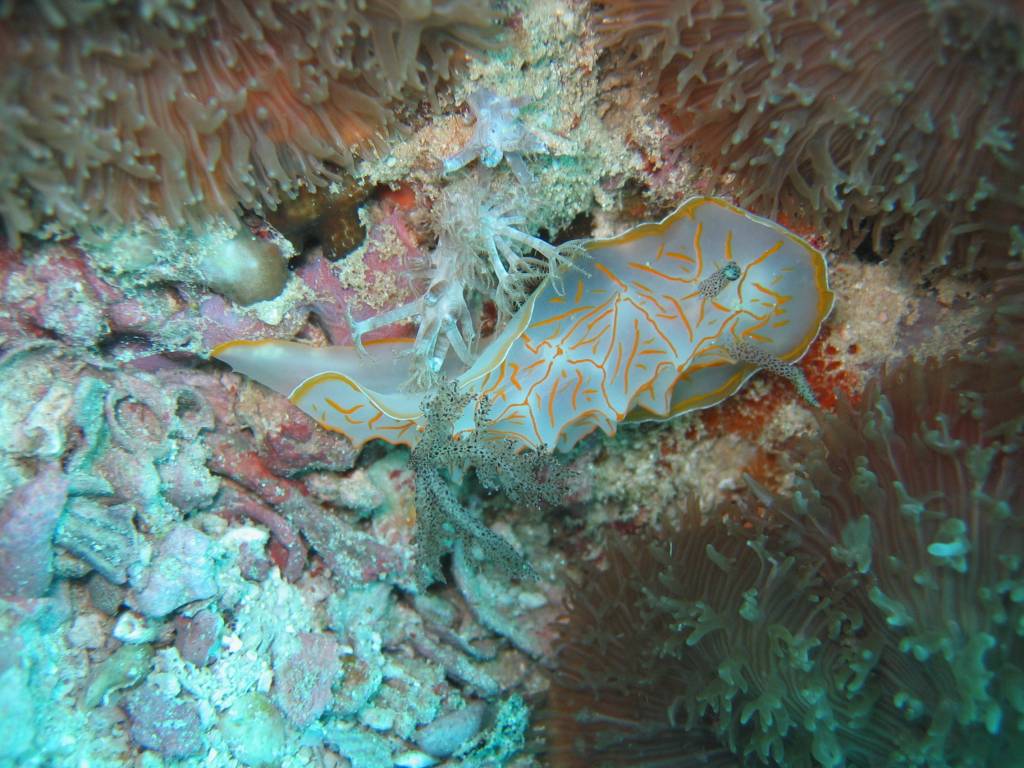 IMG_7665.JPG