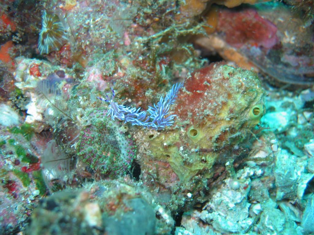 IMG_7729.JPG