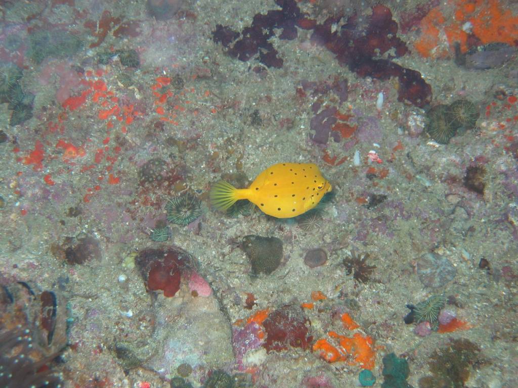 IMG_7756.JPG
