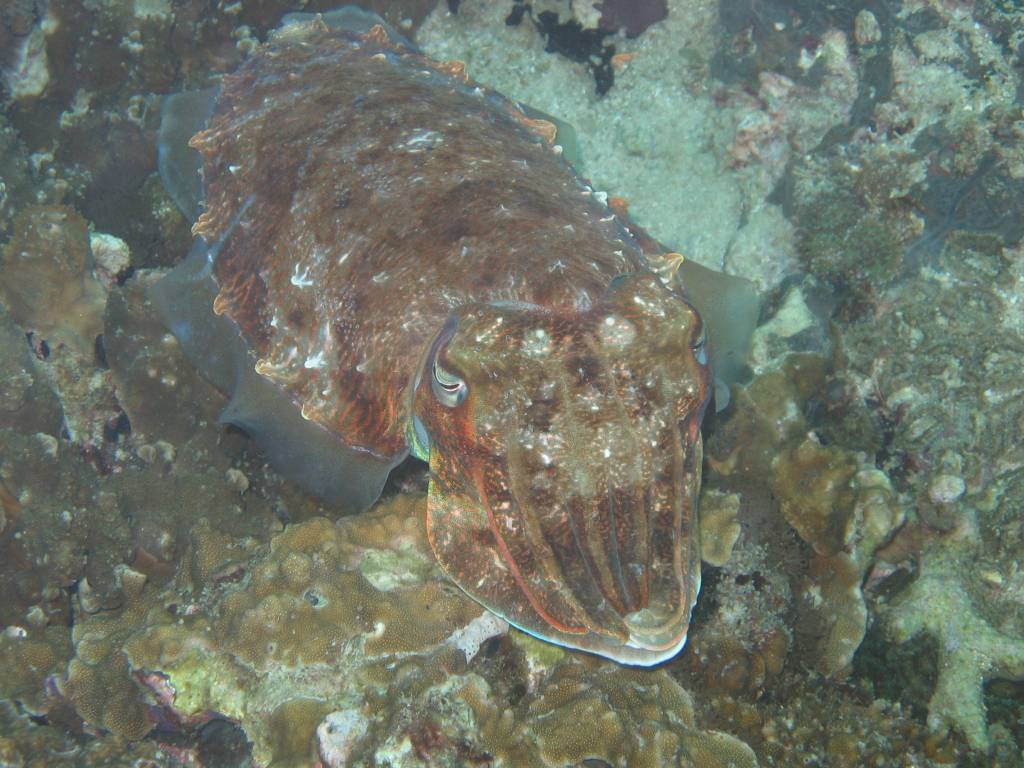 IMG_7776.JPG