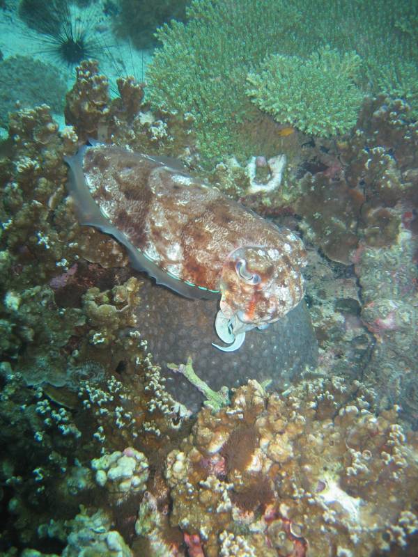 IMG_7779.JPG