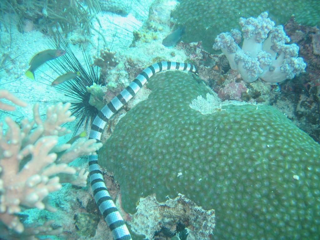 IMG_7804.JPG