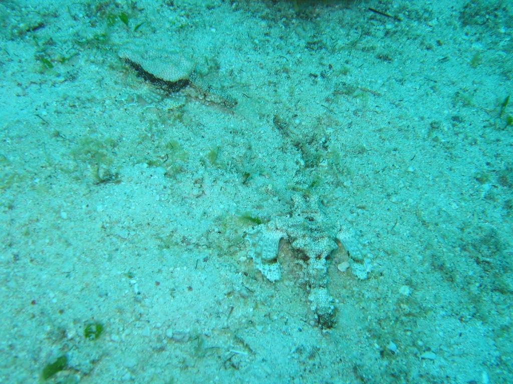 IMG_7810.JPG