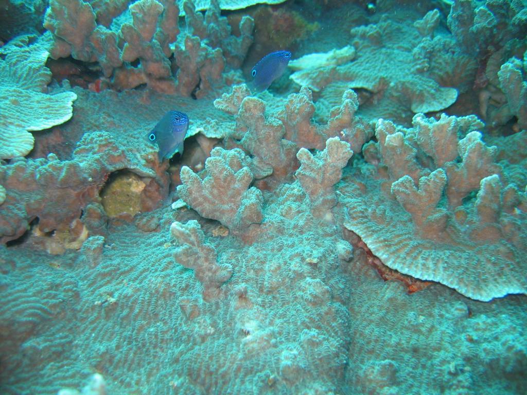 IMG_7862.JPG