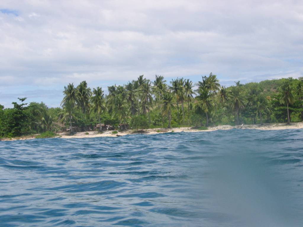 IMG_7893.JPG