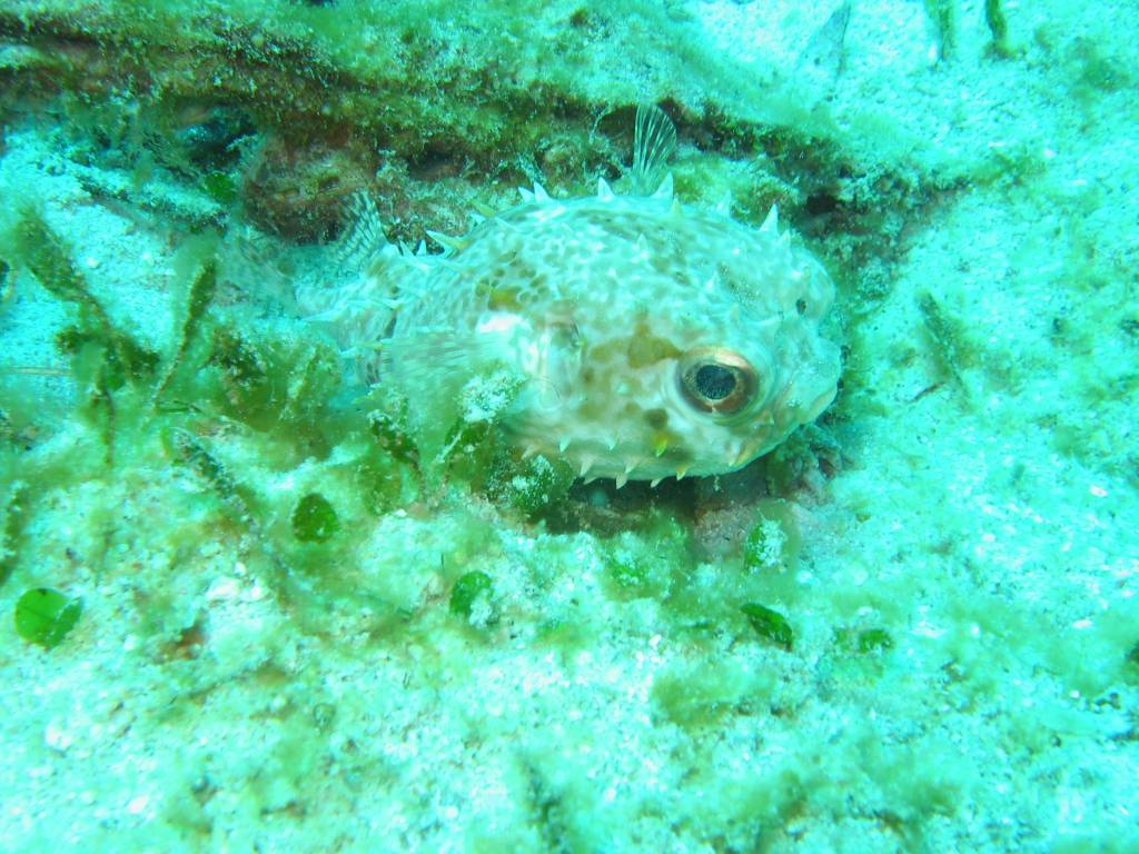 IMG_7915.JPG